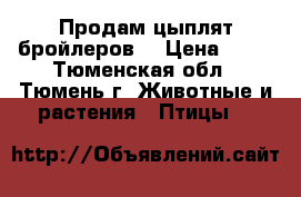 Продам цыплят бройлеров. › Цена ­ 90 - Тюменская обл., Тюмень г. Животные и растения » Птицы   